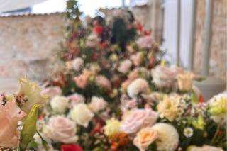 Les Fleurs d'Aqui - 9