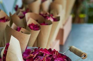 Carolalie Photography - 11