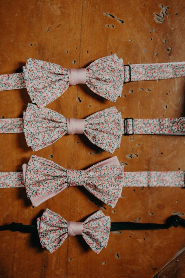 Bold & Bow - 3