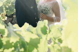 Julie Rimlinger Photographe - 5