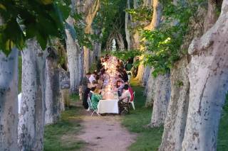 Domaine Pech Laurier - 15