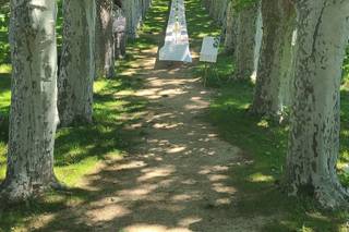 Domaine Pech Laurier - 17