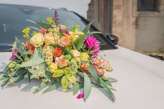 Le Monde de Roze - 6