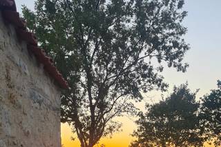 Domaine de Buchenois - 7