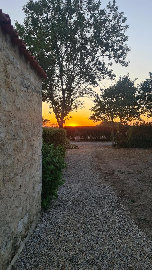 Domaine de Buchenois - 2