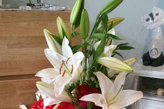 Nature et Tendance - 4