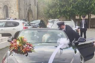 Navette Service Prestige - 5