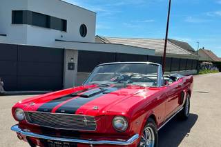 Mustang Location - 5
