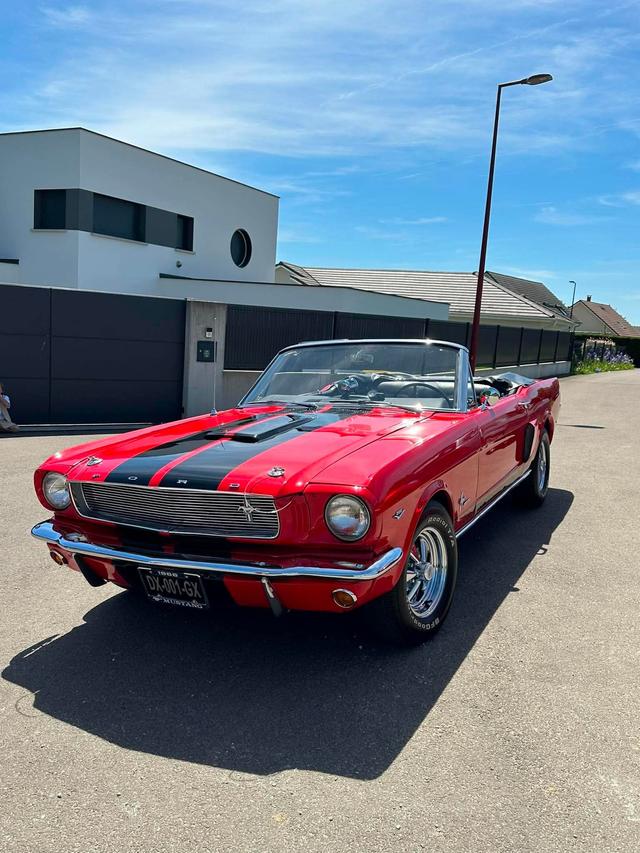 Mustang Location - 2