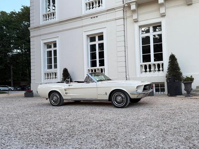 Orangerie du Château du Bois du Rocher - 1