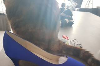 Les Noces de Manon - 26