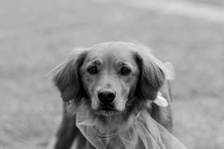 Tous ces moments là... Photographies - 6