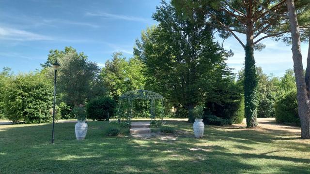 L'Oasis du Saule - 3