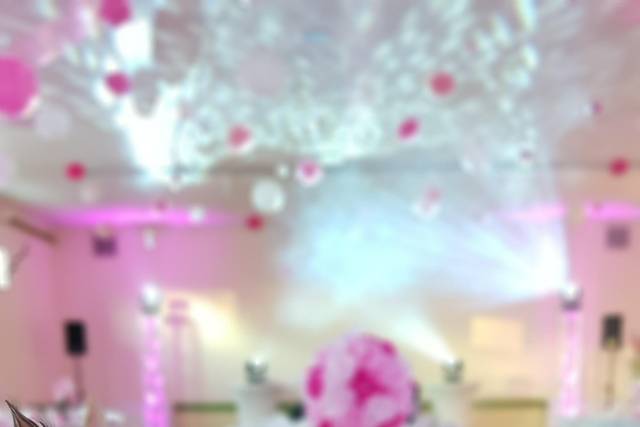 InstaLight 5
