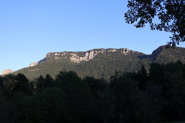 Domaine de la Sapinière - 1