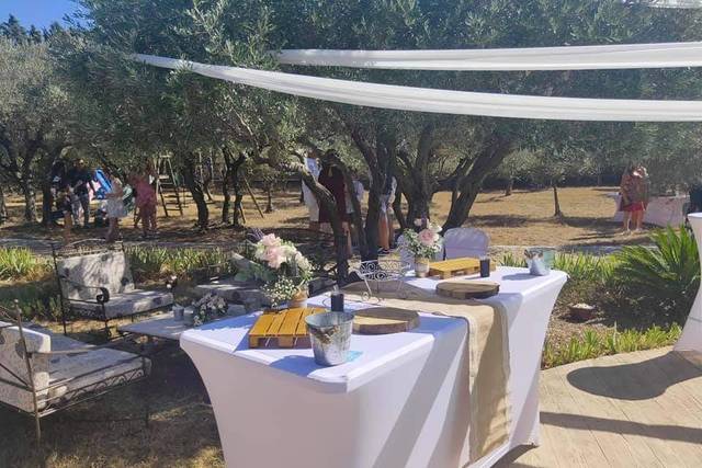 Evidentia Events 5