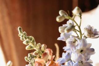 Fleurs d'un Jour - 6