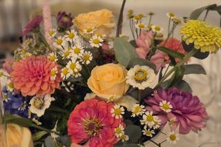 Les Fleurs de Suzanne - 7