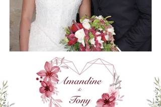 Alicia Wedding Planner - 5