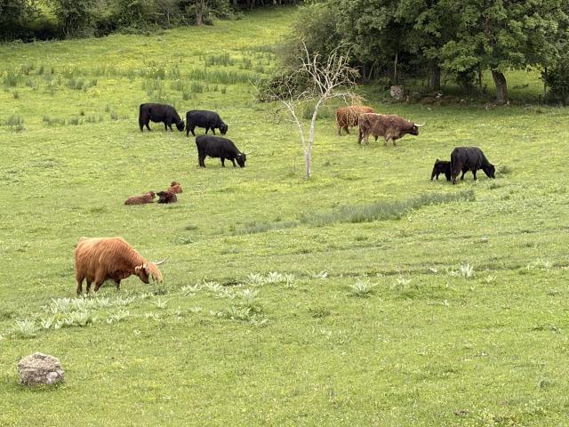 Domaine de Badard - 1