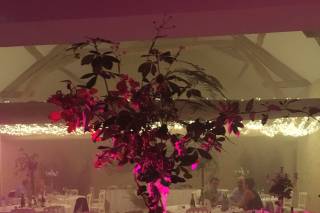LilyFS, Décorateur d'événements, Articles de Fête - 1