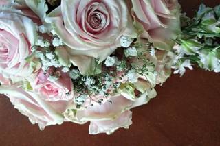 Les Fleurs d'Isis - 24