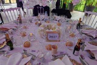 Com'Ali Infographie - 7