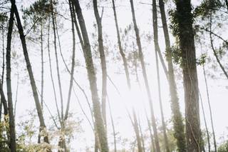Julie Conrad Photographe - 11