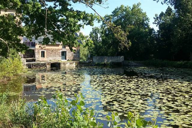 Ilot du Moulin 4