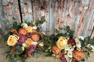 Cheveu d’ange fleurs - 8
