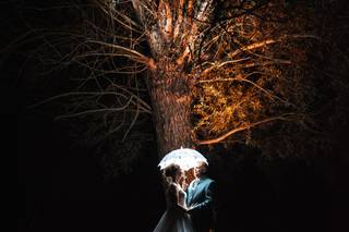 Jeremy Wilk Photographe - 7