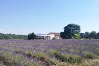 Domaine des Maillettes - 17