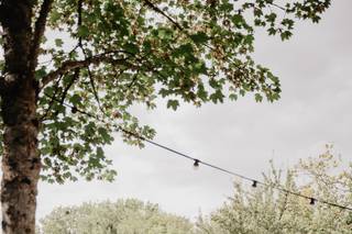 Leslie Photographie - 9