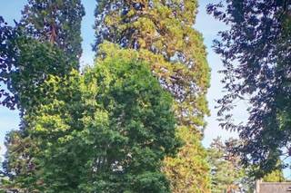 Le Château de la Croix - 13