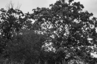 Liandjo.photography - 18