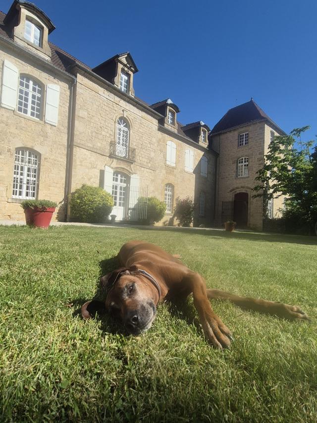 Château de Montmartin - 2
