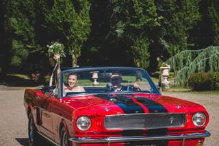 Mustang Location - 8