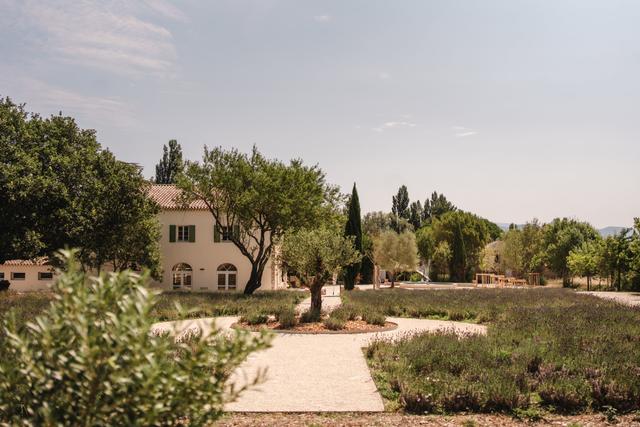 Domaine de la Vivande - 4