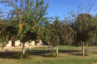 La Ferme au Colombier - 17