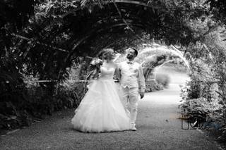 Le Bonheur en Images - 5