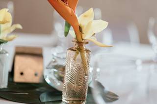 Cactus & Lilas - 11