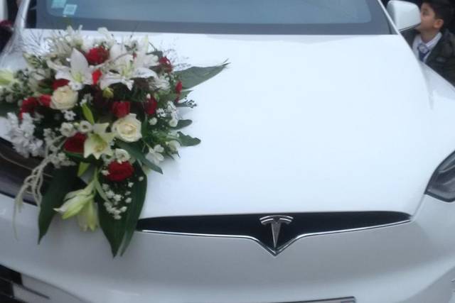Americar Prestige 2