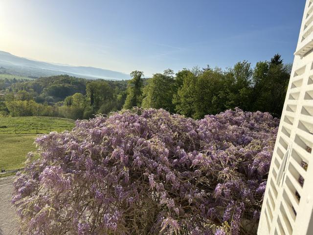 Château de Montolivet - 4