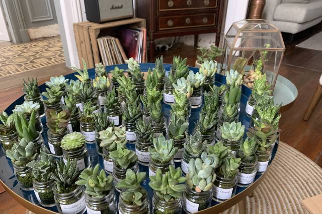 Les Contes Succulents 4