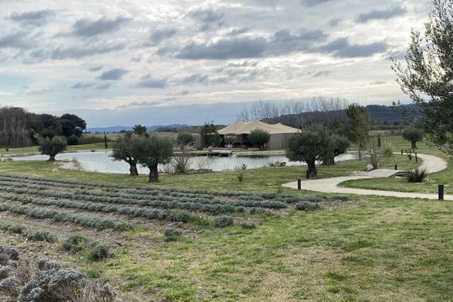 Les Domaines de Patras 5