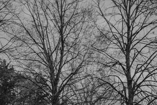 Ludovic Faivre Photographe - 8
