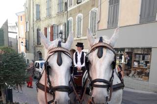 Provence-Caleche-Tradition - 16