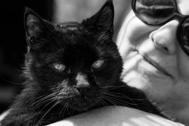 Pack Photographie 1
