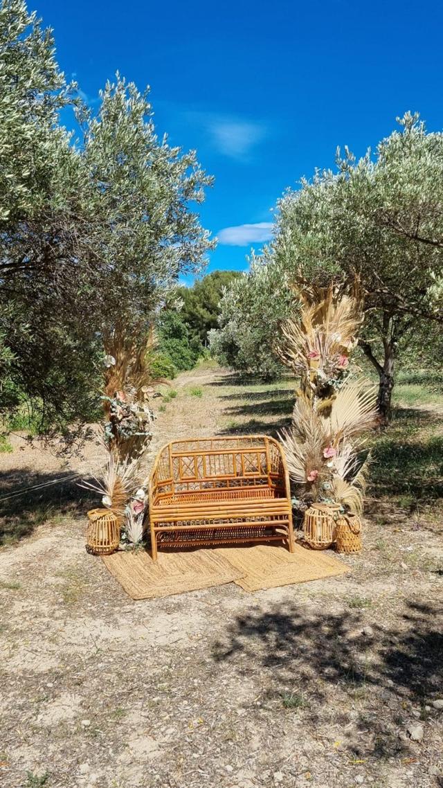 Mlle Colibri - 2