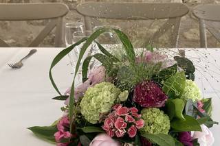 A Fleur de Pot - Fleuriste, Décorateur - 17